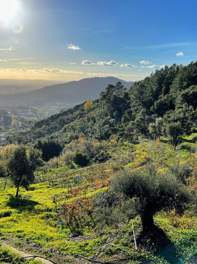 דירות פורטלגרה Quinta Altamira מראה חיצוני תמונה